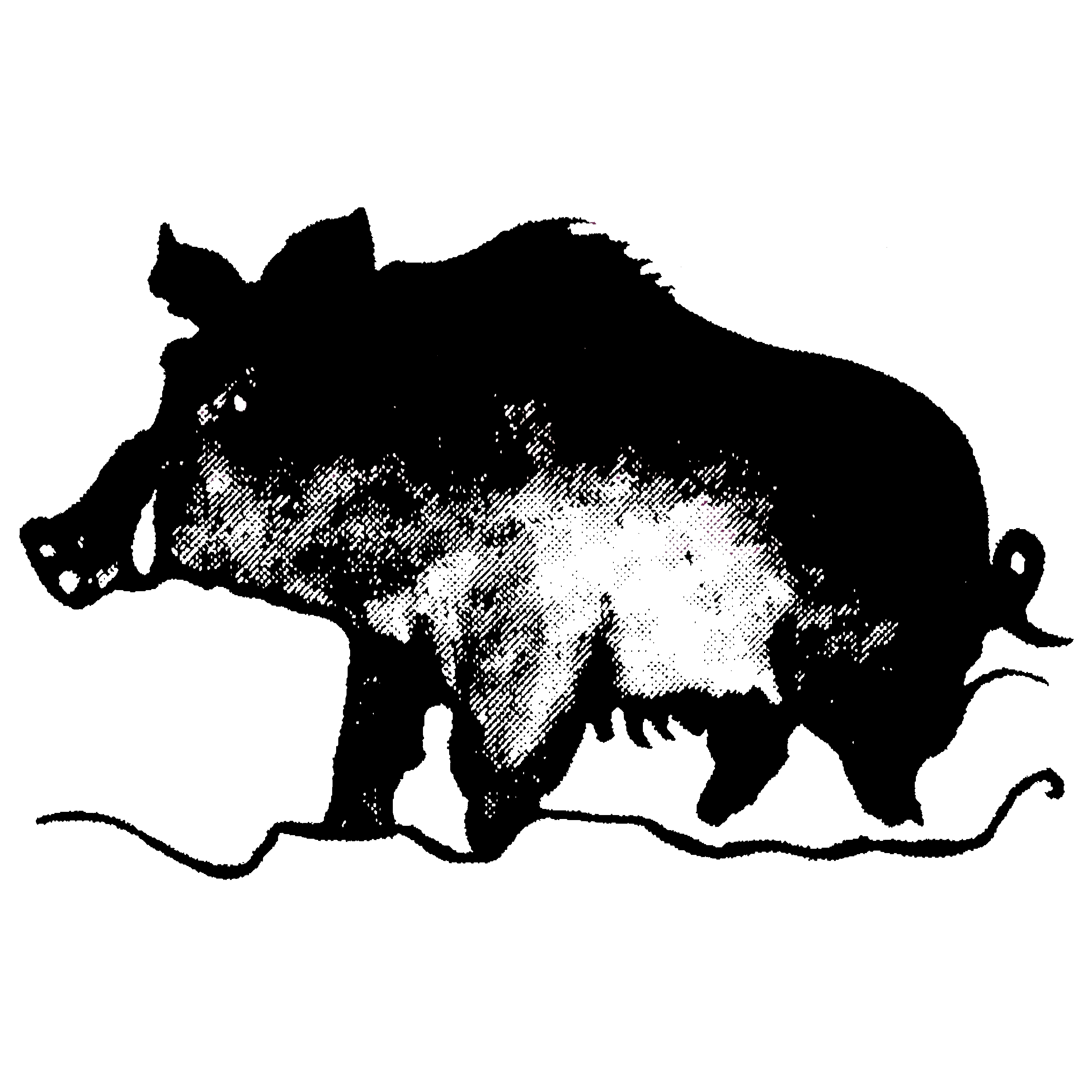 Wildschweinweg