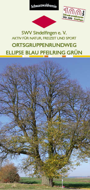 Ellipse blau Pfeilring grün